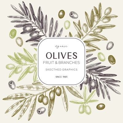 Olives wreath design. Olive tree branches sketches. Mediterranean food menu template. Hand-drawn vector illustration. NOT AI generated.
